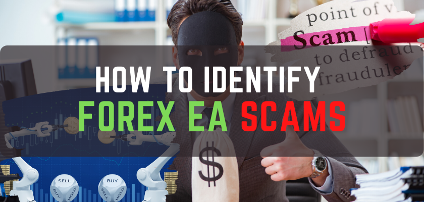 Ranson chi forex scam check Ranson chi forex scam check online football betting trick shot