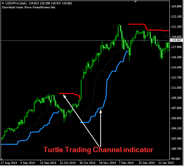 Master Forex Trading with the Legendary Turtle Trading System