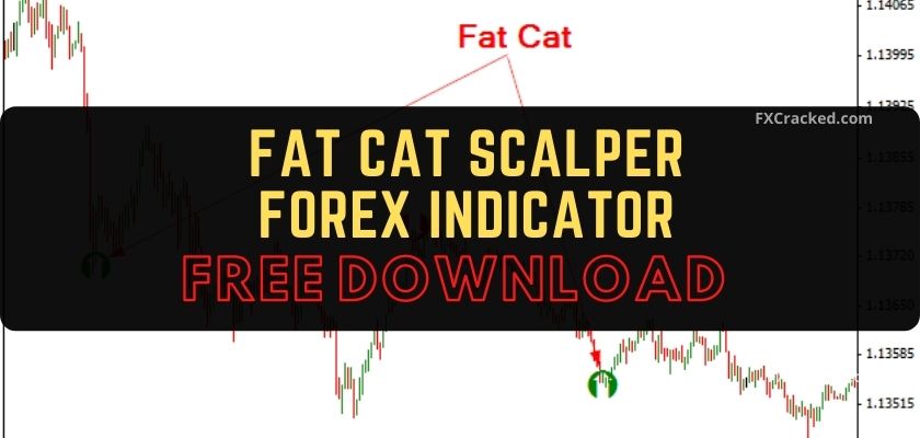fxcracked.com Fat Cat Scalper Forex Indicator Free Download