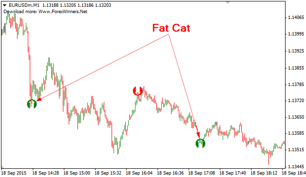 fxcracked.com Fat Cat Scalper Forex