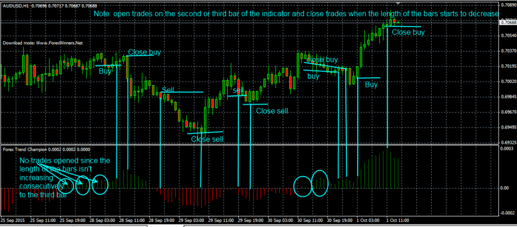 fxcracked.com Placing-orders-using-the-Forex-Trend-Champion-indicator