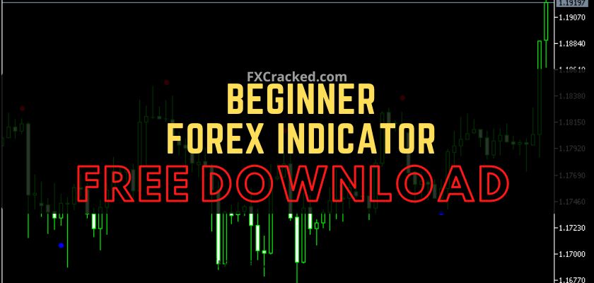 fxcracked.com Beginner Forex MT4 MT5 indicator Free Download