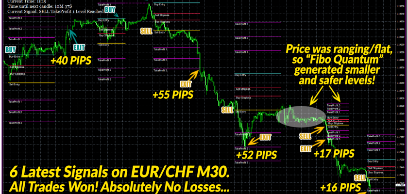 Fibo Quantum Adapts to Different Market Conditions. ForexCracked.com