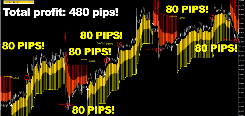 Forex Aurum strikes again sweet 480 pips in profit on Euro U.S. dollar, H1 timeframe in 6 amazing consecutive wins! FXCracked.com