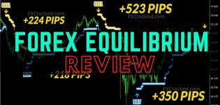Forex Equilibrium Reviews FXCracked.com
