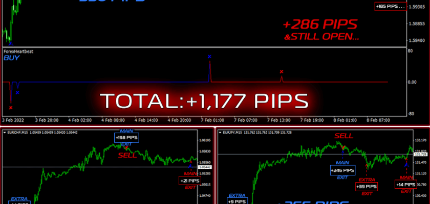 Incredibly large amount of latest profit on M15 +1,177 Pips FXCracked.com