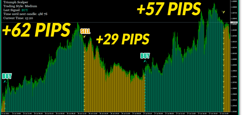 triumph SCALPER-INDICATOR