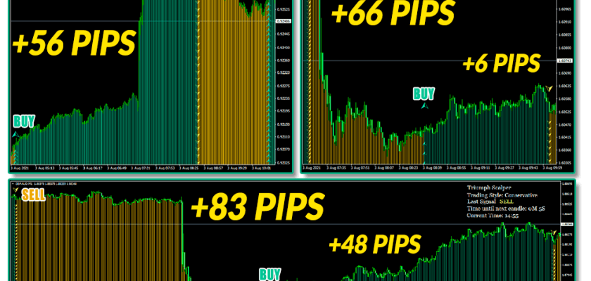 triumph scalper